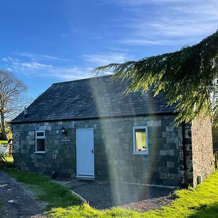 Morvoren Cottage ローンソン エクステリア 写真